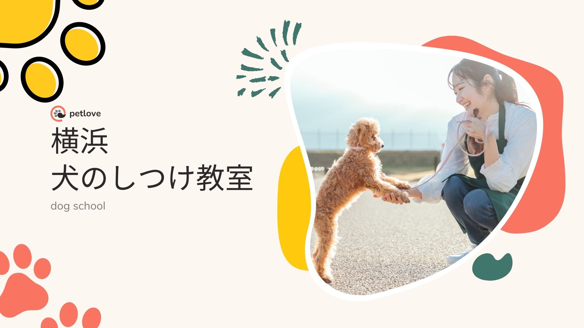 横浜犬のしつけ教室のおすすめを紹介！