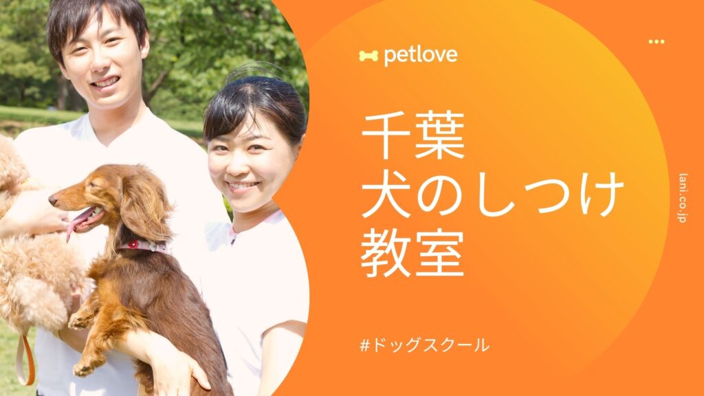 犬の名前をおしゃれに!2文字の名前50選! | ペットラブ