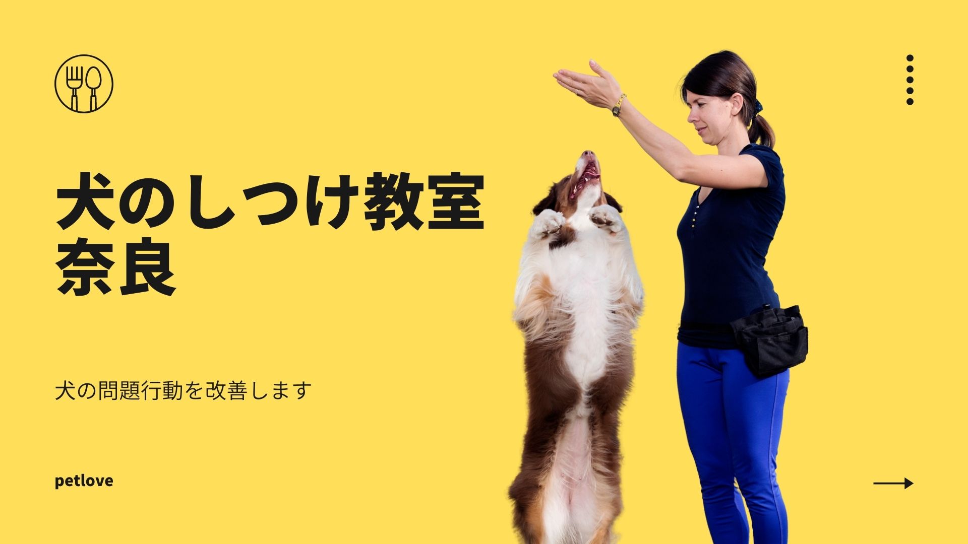 奈良県犬のしつけ教室のおすすめを紹介！