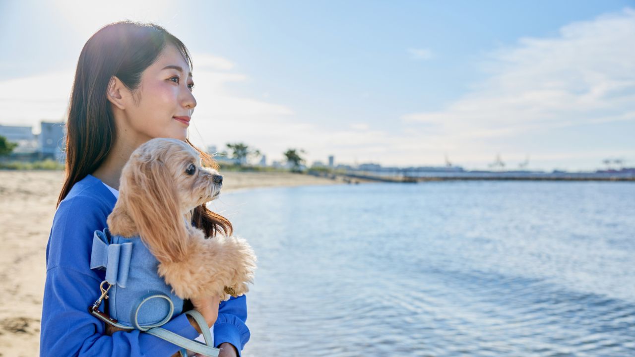 犬を飼うんじゃなかったと思った瞬間7つ