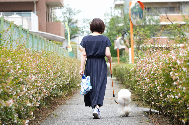 犬との暮らし