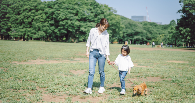 犬との暮らし、散歩