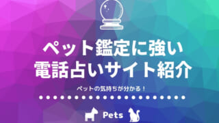 霊視 透視占いが当たる占い師 本物霊能者 電話占い無料あり