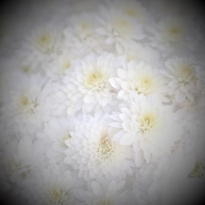 電話占い光華 月夜美先生