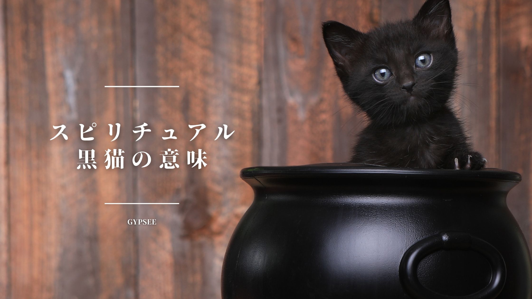 黒猫のスピリチュアル意味 ジンクス 解釈やサイン