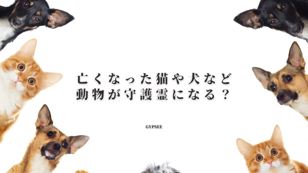 亡くなった猫や犬など動物が守護霊になる？