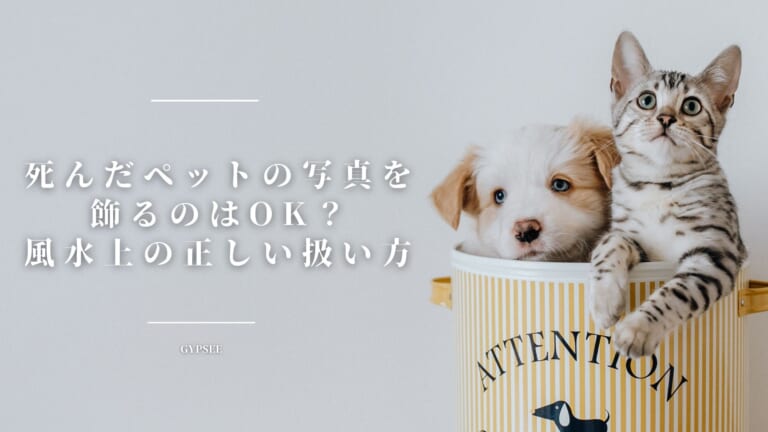 死んだペットの写真を飾るのはOK？風水上の正しい扱い方