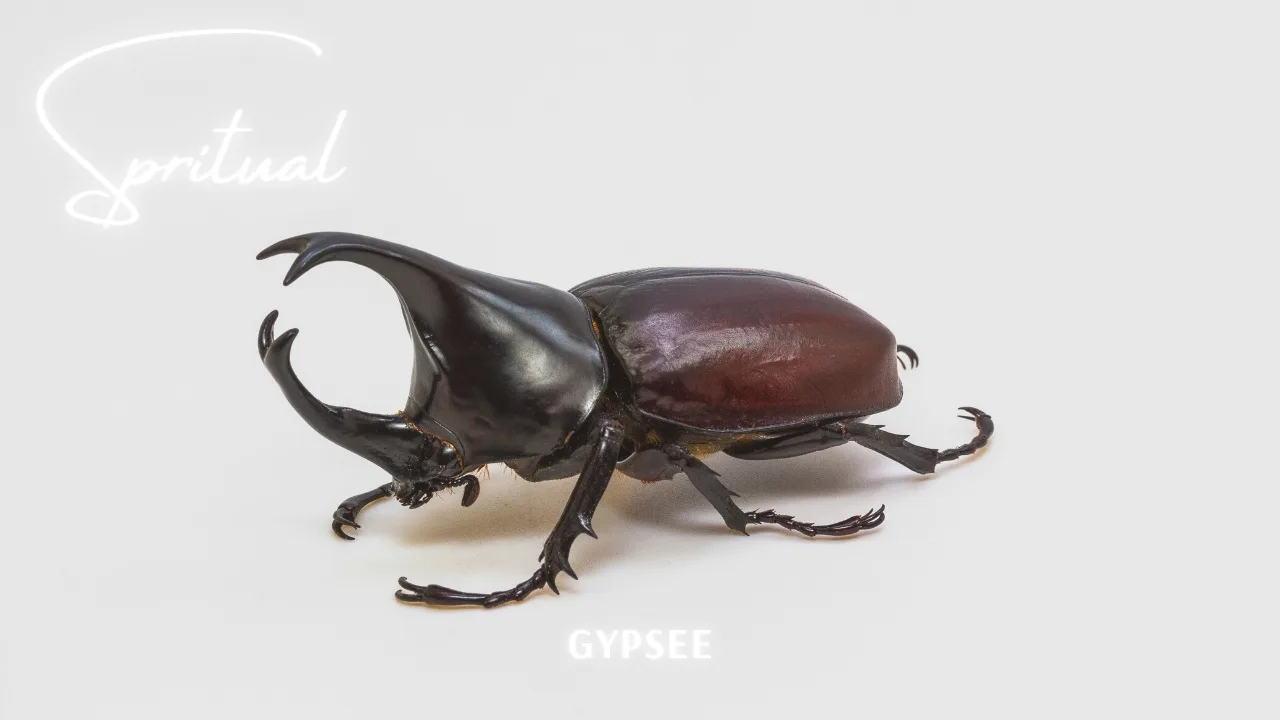 カブトムシのスピリチュアル意味 力の象徴 幸運のサイン