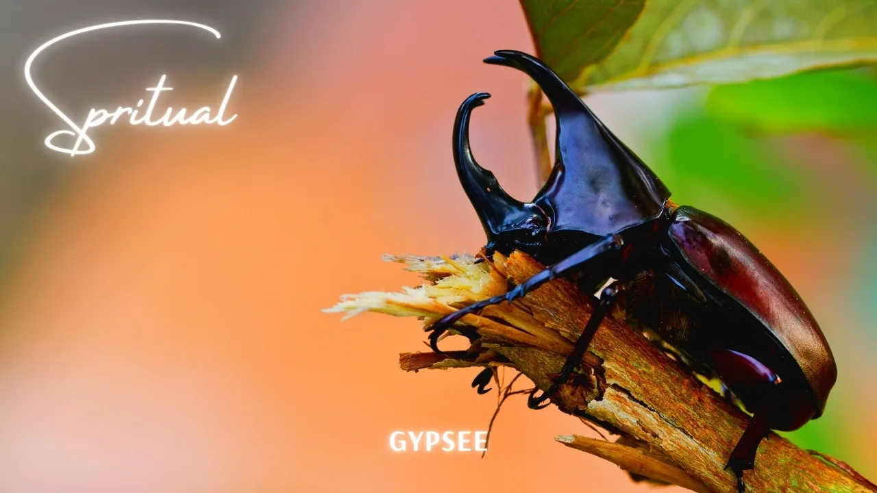 クワガタのスピリチュアル意味とメッセージ ダイレクトに反映される