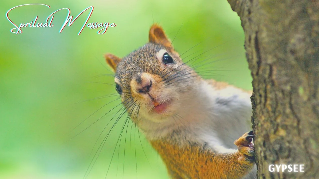 リスのスピリチュアル意味 メッセージ 見る 遭遇 幸運 縁起 象徴 神社 エゾリスなど