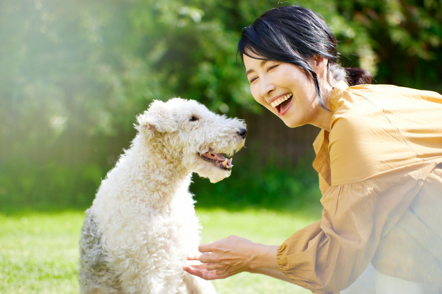 犬と遊ぶ笑顔の女性