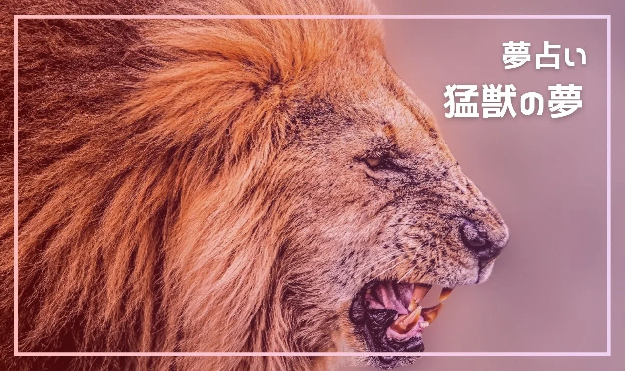 夢占い 猛獣の夢の意味13選 襲われる 追われる出てくる