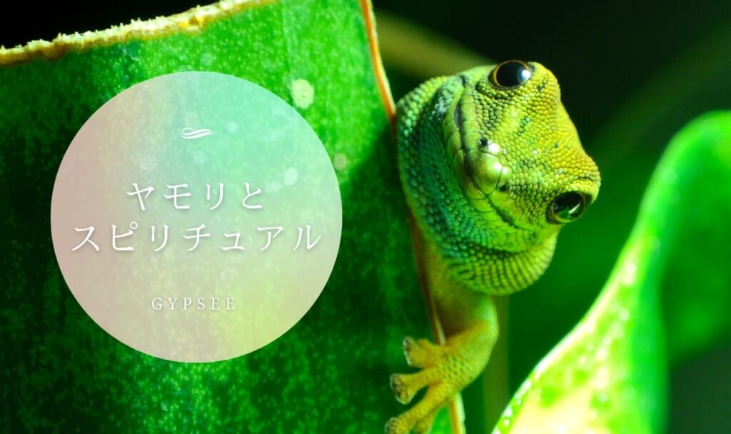 ヤモリのスピリチュアル意味・メッセージ
