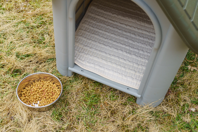 犬小屋とドッグフード