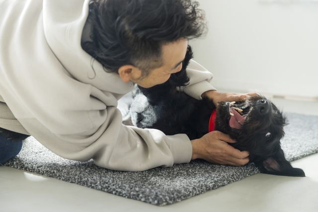 黒い犬を撫でる男性