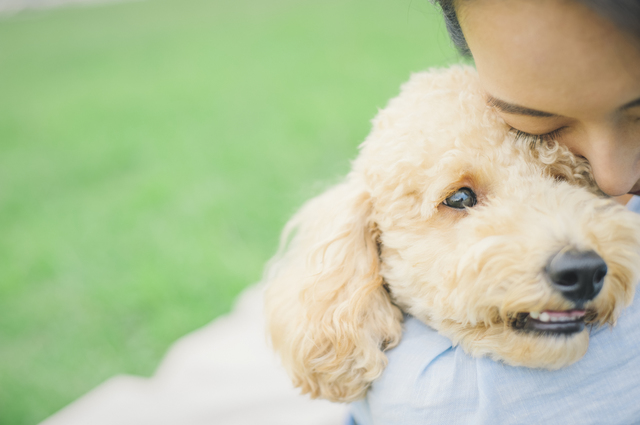 犬を抱きしめる女性