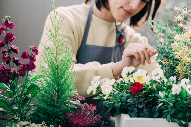 植物の力を借りる
