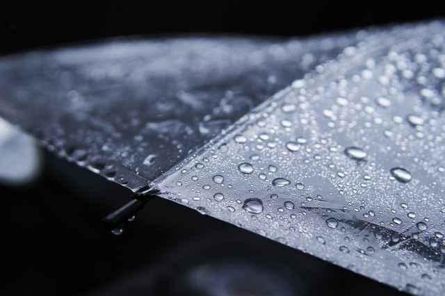 梅雨の時期