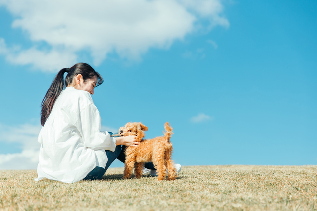 犬と遊ぶ女性