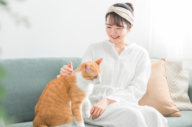 猫を撫でる女性