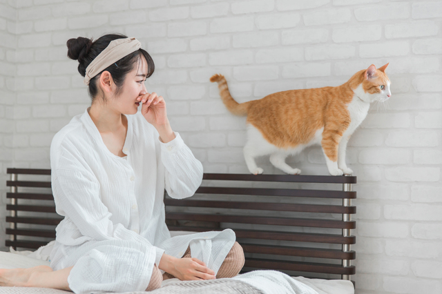 猫アレルギーの女性