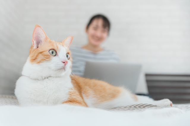 猫好きな女性と猫