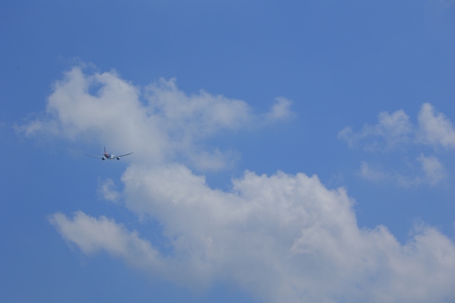顔だけの龍雲と飛行機