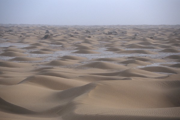 タクラマカン砂漠