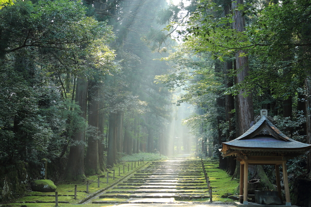 平泉寺白山神社