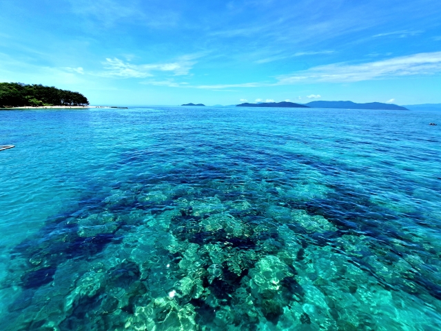 海