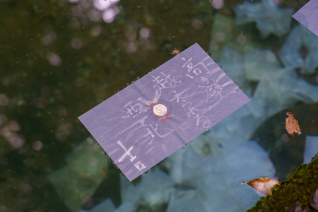 八重垣神社 鏡の池占い