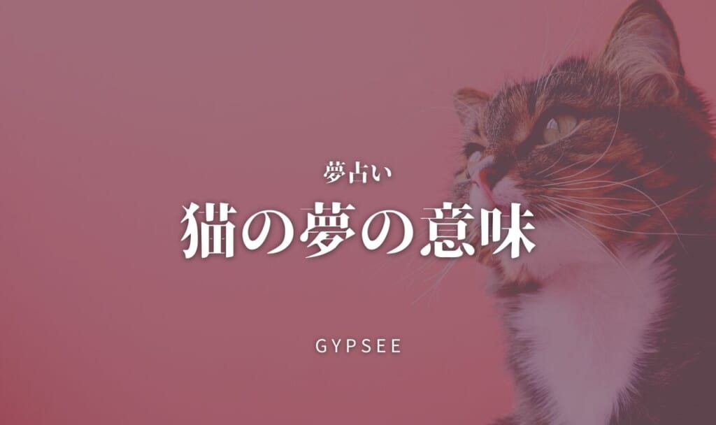 【夢占い】猫の夢の意味95選