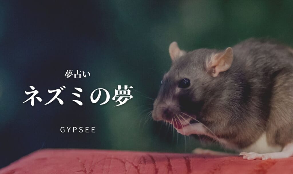 【夢占い】ネズミの夢40選
