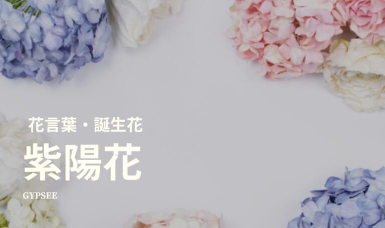 【怖い】紫陽花とは？花言葉・誕生花・育て方・種類