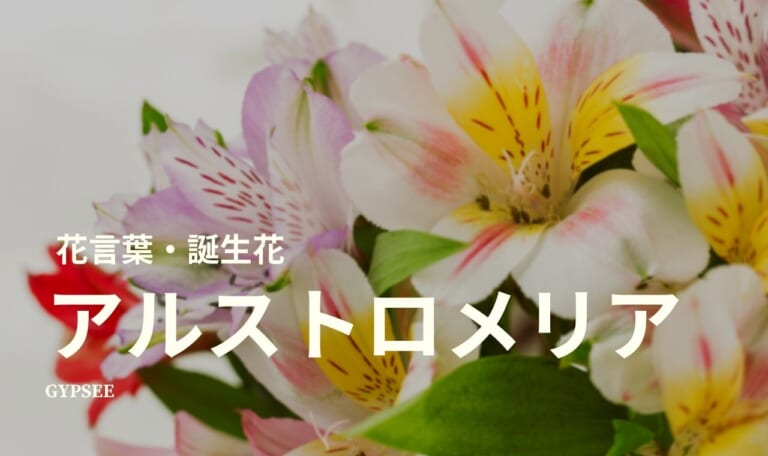 アルストロメリアの花言葉・誕生花・育て方・種類