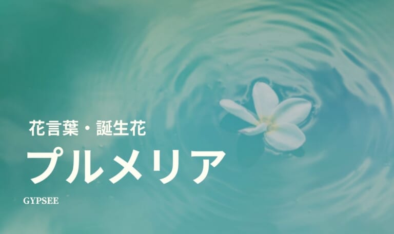 プルメリアの花言葉・誕生花・育て方・種類