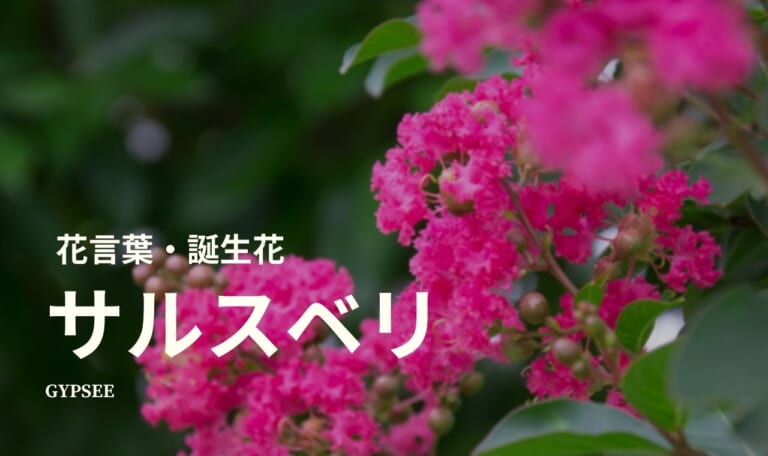 サルスベリ(百日紅)の花言葉・誕生花・育て方・種類