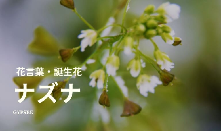 ナズナ(ぺんぺん草)の花言葉・誕生花・育て方・種類