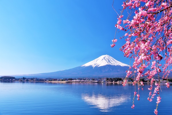 富士山の名水