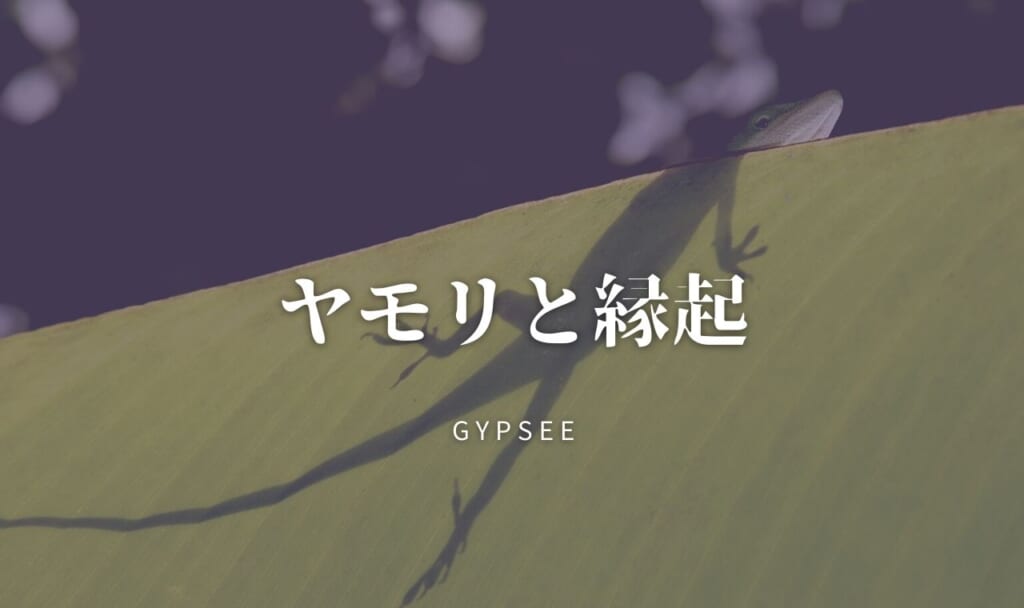 ヤモリを見たら縁起が良い！凄い体験エピソードと理由