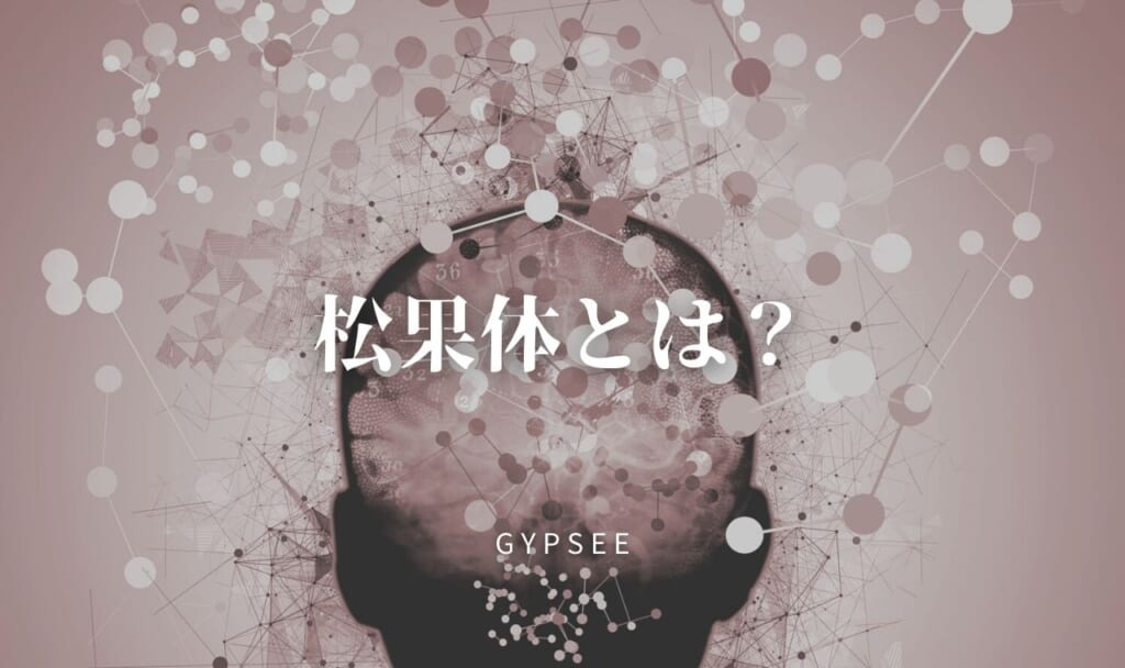 【これで進化する】松果体とは?覚醒・活性化した人に起こること8つ・その方法も教えます