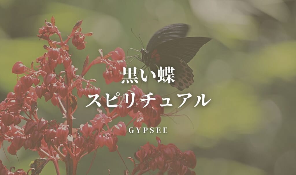 黒い蝶のスピリチュアル意味！サイン・黒いアゲハ蝶・ジンクスなど