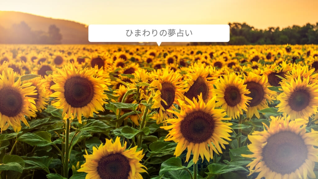 【夢占い】ひまわりの夢の意味22選！吉夢・凶夢？| Lani