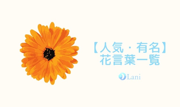 【人気・有名】花言葉一覧