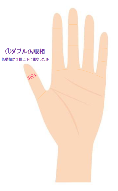 手相の仏眼相とは 意味を徹底解説 手 指 関節別