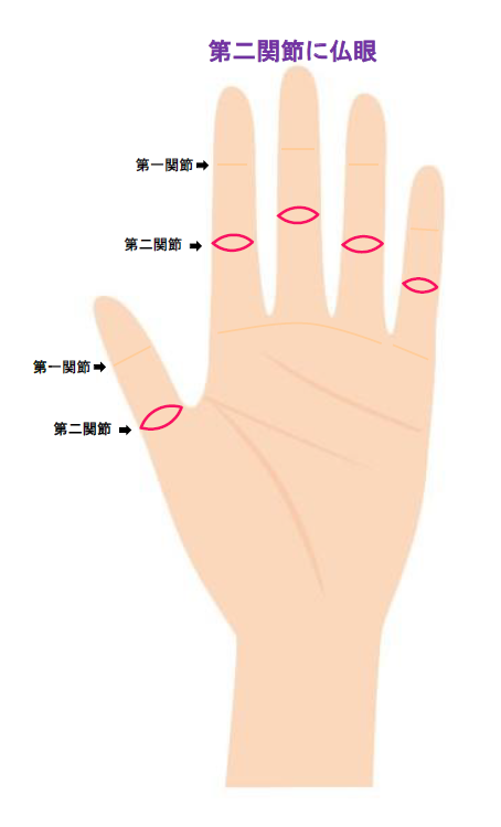 手相の仏眼相とは 意味を徹底解説 手 指 関節別
