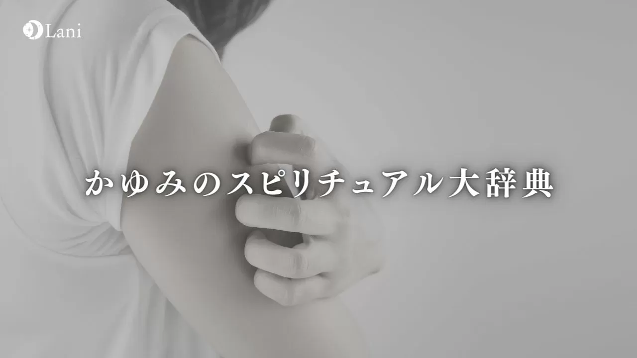 江原啓之への質問状 スピリチュアルな法則で人は救われるのか メルカリ