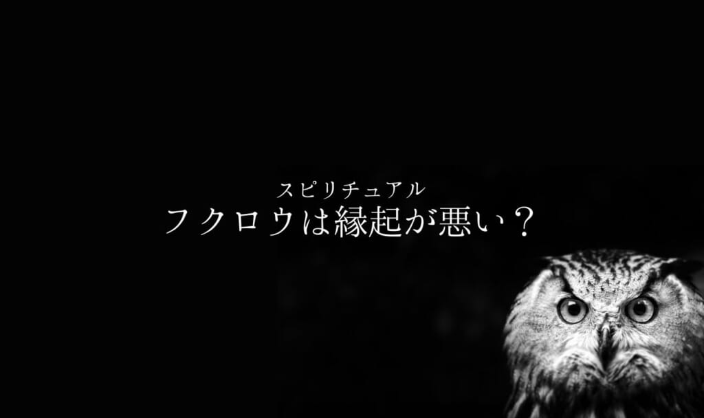 【スピリチュアル】フクロウは縁起が悪い？！意外な意味・象徴