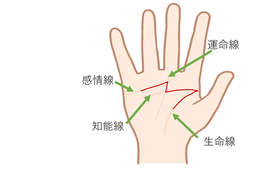 手相占い ラッキーm線の意味を解説 実はみんなある 画像あり