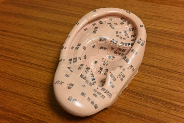 耳つぼ